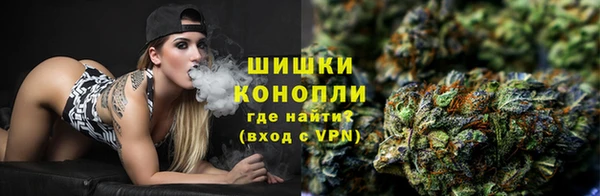 гашик Богородск