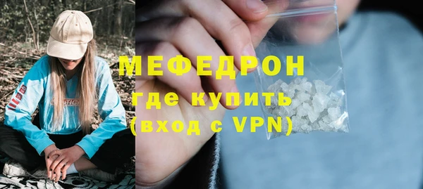 мдпв Гусев