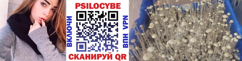 Галлюциногенные грибы Magic Shrooms  купить наркоту  Волосово 