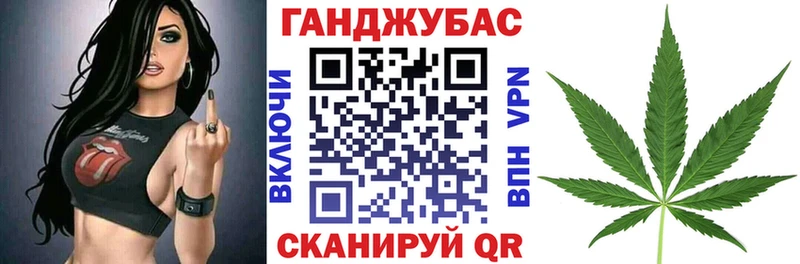 Шишки марихуана конопля  закладка  Волосово 